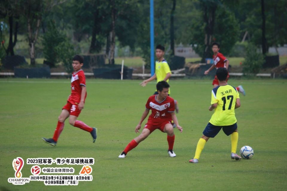 感觉, bt, 年中国足协 感觉, bt, 年中国足协